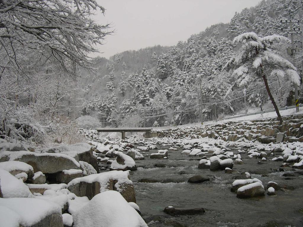 Happy Dream Pension Pyeongchang Exterior photo